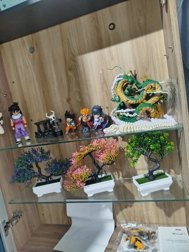 Foto de un comprador: Figura de Dragon Ball: Shenron y Goku en PVC para coleccionar