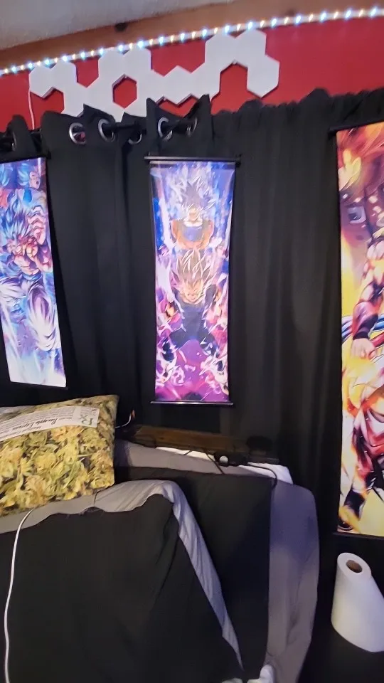 Foto de un comprador: Póster de Dragon Ball en lienzo, obra de arte para pared